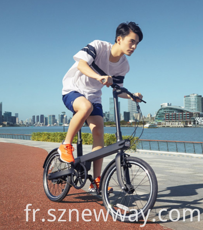 Qicycle Electric Bicycle